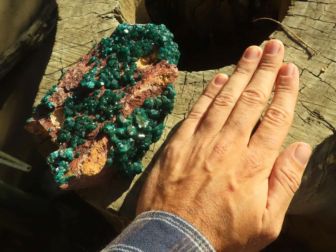 Natural Extra Large Emerald Dioptase Specimen x 1 From Likasi, Congo