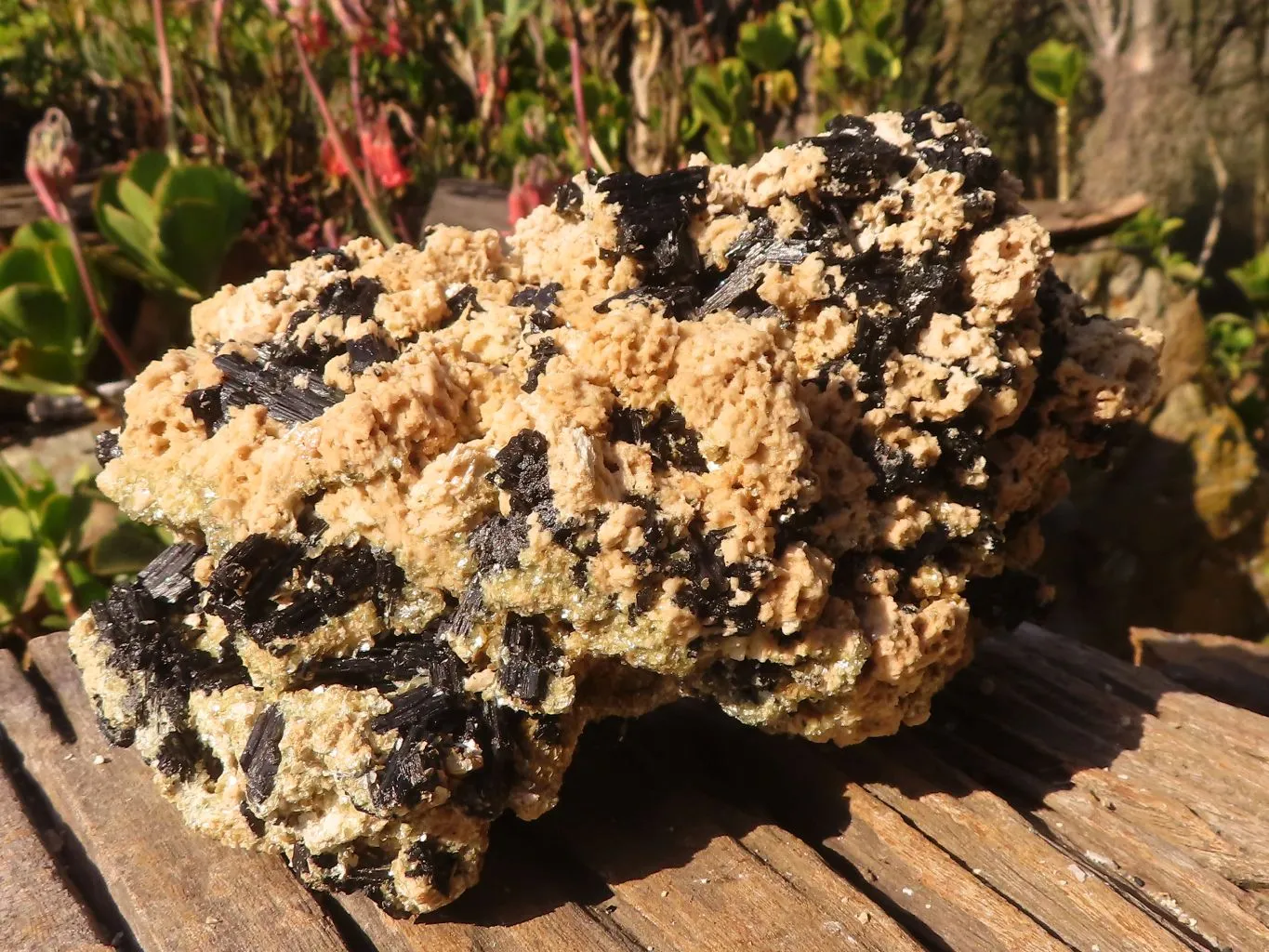 Natural Large Schorl Black Tourmaline Specimen x 1 From Erongo, Namibia