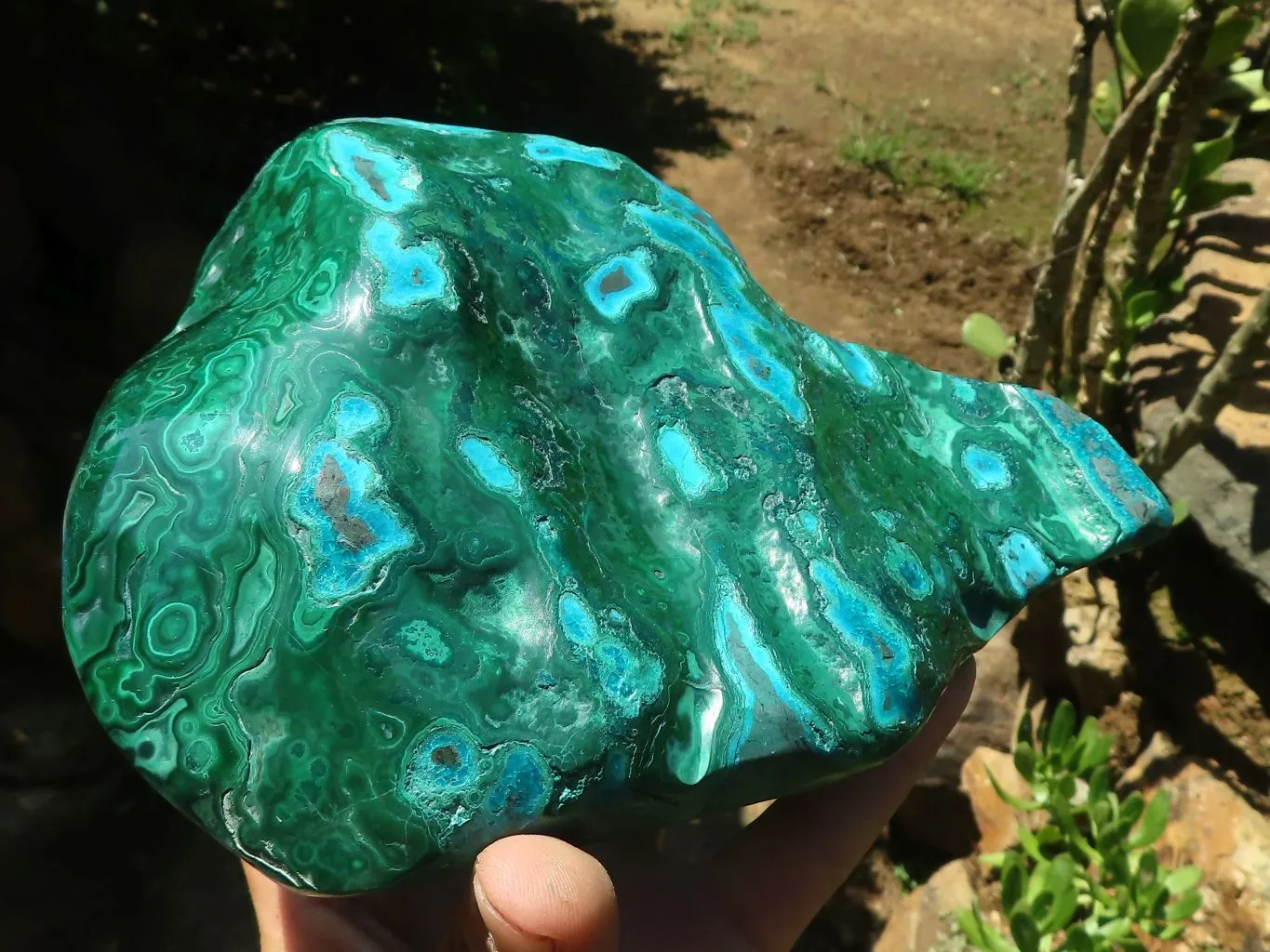 Polished Malacholla (Malachite & Chrysocolla) Free Form  x 1 From Kulukuluku, Congo