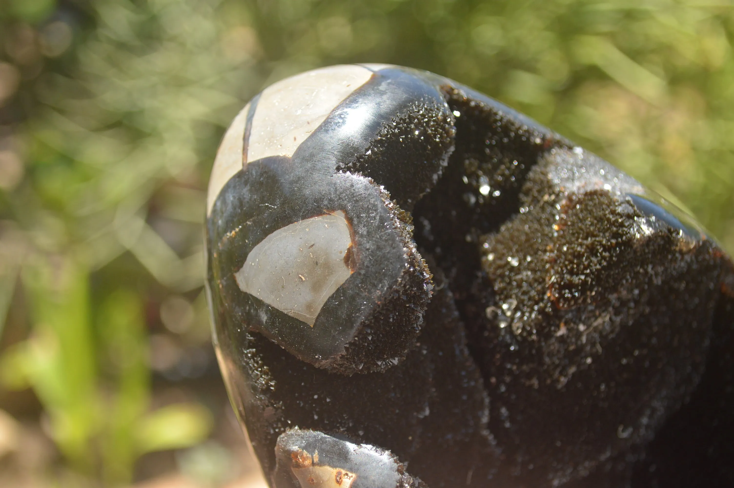Polished Septaria Dragons Egg x 1 From Mahajanga, Madagascar