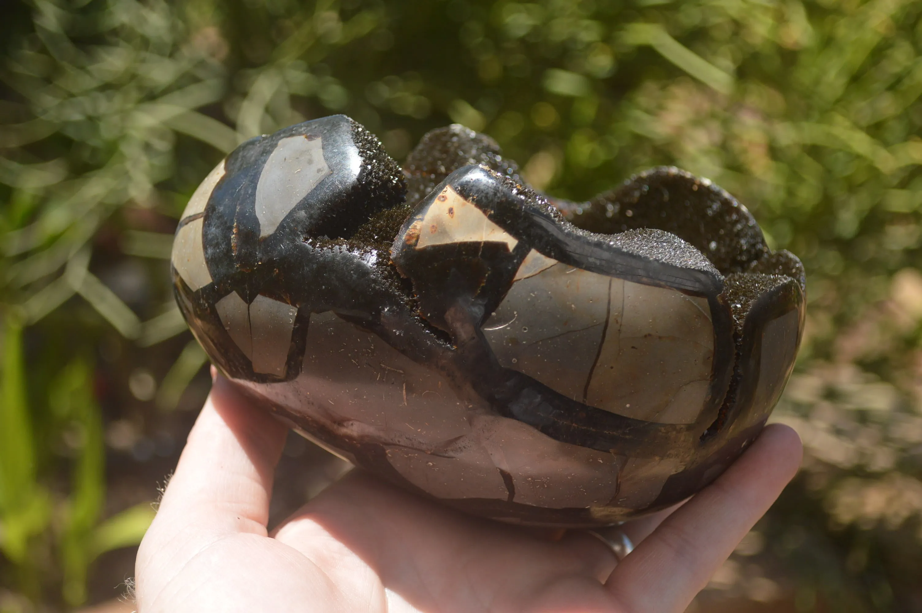 Polished Septaria Dragons Egg x 1 From Mahajanga, Madagascar