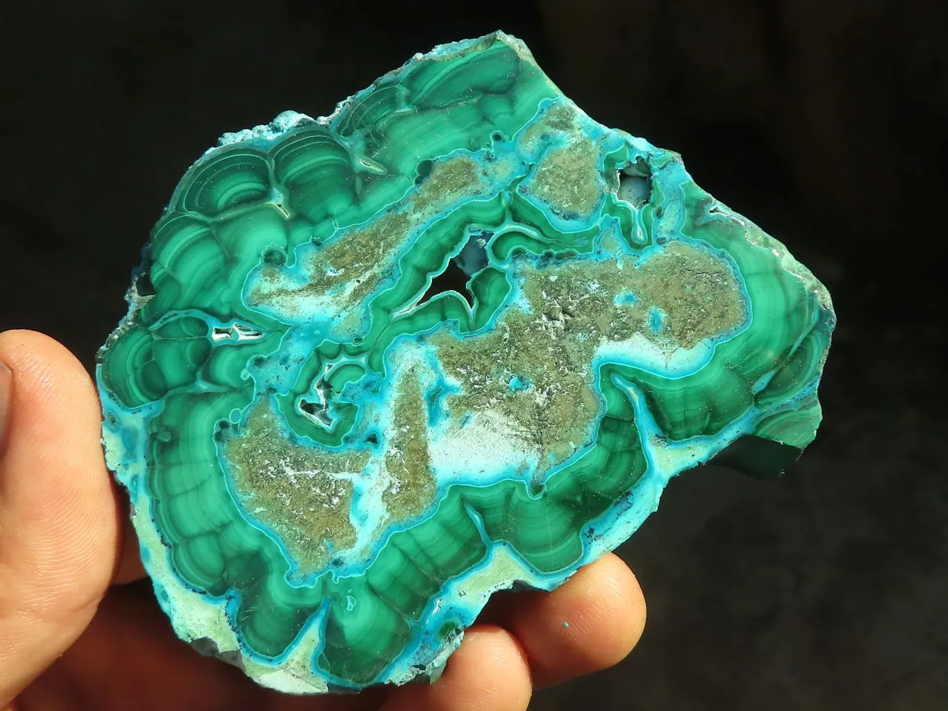 Polished Stunning Malacholla Slices  x 12 From Congo