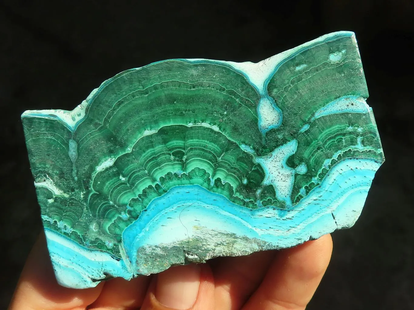 Polished Stunning Malacholla Slices  x 12 From Congo