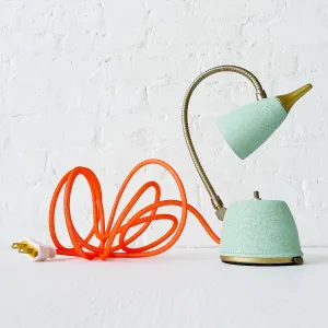 Spring Fresh Mint Green Gooseneck Lamp w/ Neon Orange Net Color Cord