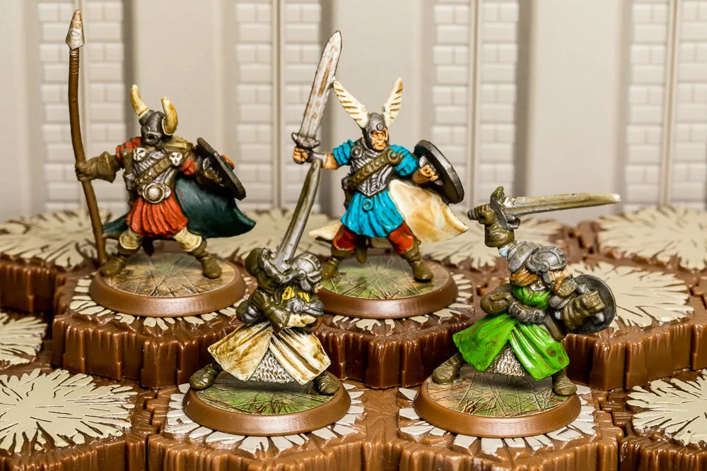 Tarn Viking Warriors - Unique Squad